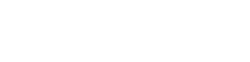 Brainlead