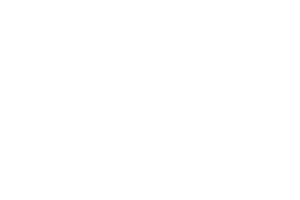 Bayer