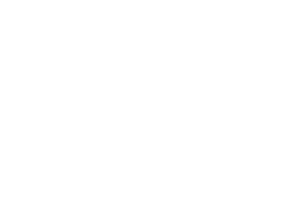 BOSS