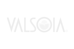 Valsoia